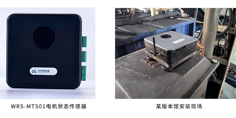 WRS-MTS2X电机绝缘传感器